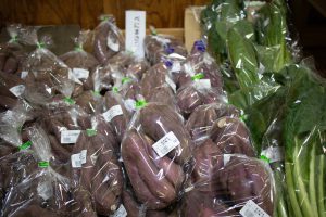 鯉淵学園　学園祭　２　231111 (1 - 1)